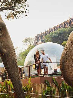 Appartement Four Seasons Tented Camp Golden Triangle, Golden Triangle, Thaïlande du Nord, Thaïlande