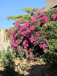 Logement de vacances Vakantiehuis Kalloni, Kalloni, Péloponnèse, Grèce