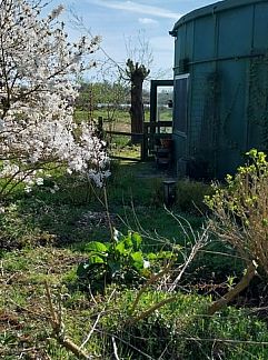 Vakantiewoning Huisje in Oudega, Oudega, Heegermeer, 