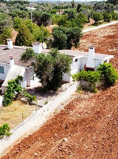 Holiday property Vrijstaande woning in Carovigno, Carovigno, Apulia / Puglia, Italy