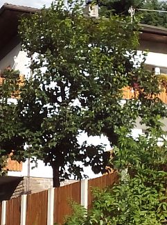 Appartement Appartement Villa Esperia, Merano, Tretino / Zuid-Tirol, Italië