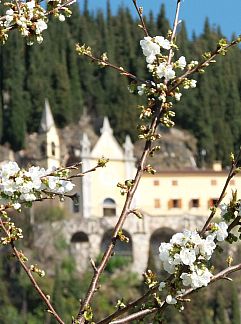 Apartment Appartement La Busa, Alleghe, Dolomites, Italy
