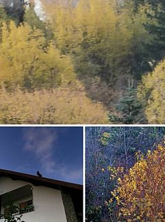 Logement de vacances Vakantiehuisje in Borzonasca, Borzonasca, Ligurie, Italie