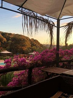 Ferienhaus Vakantiehuis La Pietraia, Badesi, Sardinien, Italien