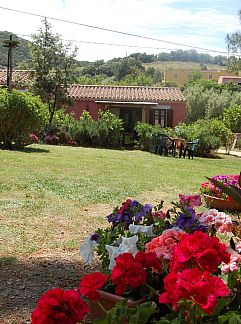 Ferienhaus Vakantiehuis Dalia 15 - Vista Village, Porto San Paolo, Sardinien, Italien