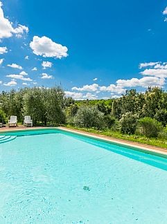 Tenthuis Wood, Siena, Toscane / Elba, Italië