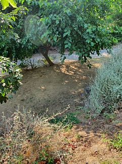 Vakantiewoning Huisje in Uzzano, Uzzano, Toscane / Elba, Italië