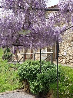 Holiday property Vakantiehuisje in Pietrabuona, Pietrabuona, Tuscany / Elba, Italy