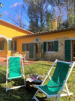 Ferienhaus Vakantiehuis Ulivo, Montescudaio, Toskana / Elba, Italien