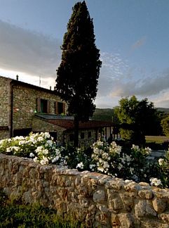 Ferienhaus Vakantiehuis Ulivo, Montescudaio, Toskana / Elba, Italien