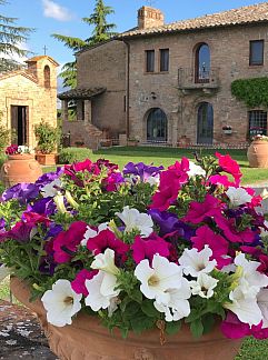 Logement de vacances Vakantiehuis Casa Violella, Chiusi, Toscane / Elba, Italie