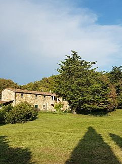 Apartment Appartement Bellavista, Castellina Marittima, Tuscany / Elba, Italy