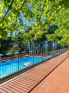 Apartment Appartement San Vivaldo, Montaione, Tuscany / Elba, Italy