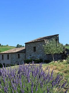 Appartement Appartement Monte Pino, Pergola, Umbrien / Marken, Italien