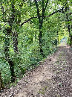 Ferienhaus Vrijstaande woning in Perugia, Perugia, Umbrien / Marken, Italien