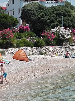 Appartement Appartement Mandre, Kolan, Dalmatien, Kroatien