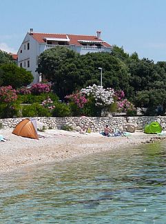 Appartement Appartement Mandre, Kolan, Dalmatien, Kroatien