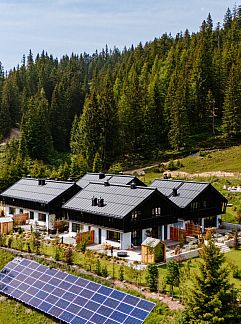 Vakantiewoning Geschakelde woning in Mühlbach am Hochkönig, Mühlbach am Hochkönig, Salzburg, Oostenrijk