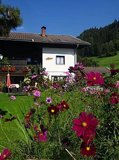 Appartement Familienhotel Steindl, Millstatt, Karnten, Autriche