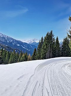Appartement Appartement Naviser Hütte, Navis, Tyrol, Autriche