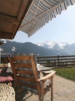 Vakantiewoning Vakantiehuis Nasenalmhütte, Hippach, Tirol, Oostenrijk