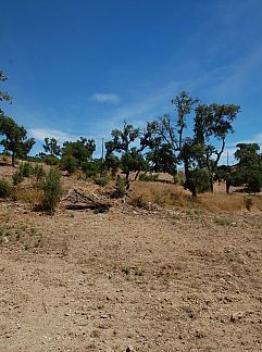 Holiday stay or cottage wanted? Book here your holiday worldwide