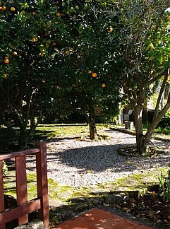 Ferienhaus Hotel O Cortiço, Sever do Vouga, Beiras, Portugal