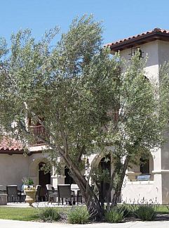 Vakantie appartement Adelaide Inn, Paso Robles, Californië, Verenigde Staten