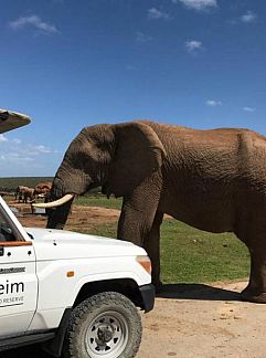 Bed and Breakfast Rosedale Organic Farm Bed & Breakfast, Addo, Oost-Kaap, Zuid-Afrika