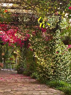 Bed and Breakfast Rosedale Organic Farm Bed & Breakfast, Addo, Oost-Kaap, Zuid-Afrika