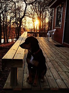 Chambres d'hôtes Trolleberg Bed & Breakfast, Veberöd, Götaland, Suède