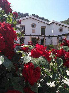 Zimmer mit Frühstück la escuela del campo, Ronda, Andalusien, Spanien