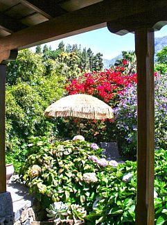 Logement de vacances El Rincón, El Paso, Iles Canaries, Espagne
