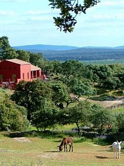 Ferienhaus Vakantiehuisje in Montanchez, Montánchez, Extremadura, Spanien