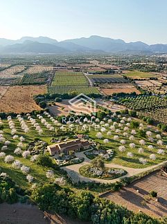 Holiday property Agroturismo Es Quatre Cantons, Binissalem, Mallorca, Spain