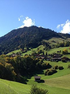 Appartement Appartement Chalet Park, Diemtigen, Berner Oberland, Schweiz