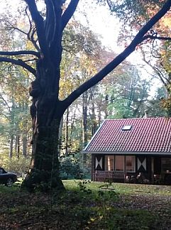 Holiday property Vakantiehuisje in Midlaren, Midlaren, Noord Drenthe, 