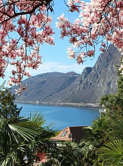 Appartement Appartement App. Paradiso, Lugano, Tessin, Suisse