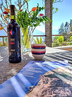 Appartement Appartement Casa Reduit Terrazza, Orselina, Tessin, Schweiz