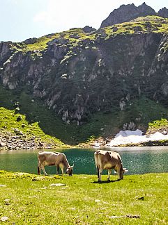 Appartement Appartement Strecce 1, Vergeletto - Onsernone, Tessin, Suisse