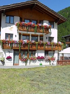 Logement de vacances Vakantiehuis Edelweiss, Saas-Balen, Wallis / Valais, Suisse