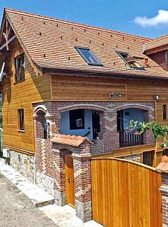 Apartment Appartement Casa Zollo - nahe den Karpaten Transsilvaniens, Vale, Transylvania, Romania