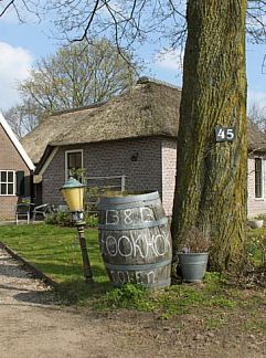 Ferienhaus Huisje in Dalen (dorp), Dalen, Zuidoost Drenthe, 