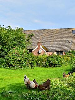 Holiday property Vakantiehuis in Odoornerveen, Odoornerveen, Zuidoost Drenthe, 