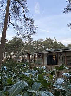 Logement de vacances DG1566, Zuidwolde, Zuidwest Drenthe, 