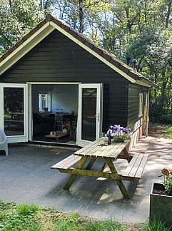 Ferienhaus DG262, Uffelte, Zuidwest Drenthe, 