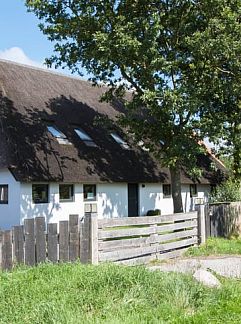 Holiday property Vakantiehuisje in Langedijke, Langedijke, Friese bossen, 