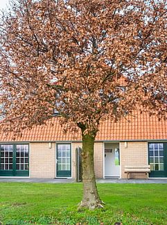 Holiday property Vakantiehuis in Harich, Harich, Friese bossen, 