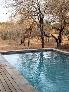 Ferienhaus Vrijstaande woning in Phalaborwa, Phalaborwa, Limpopo, Zuid-Afrika