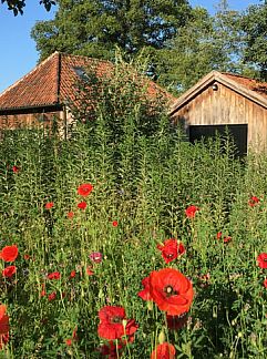 Vakantiewoning Huisje in Barchem, Barchem, Achterhoek, 